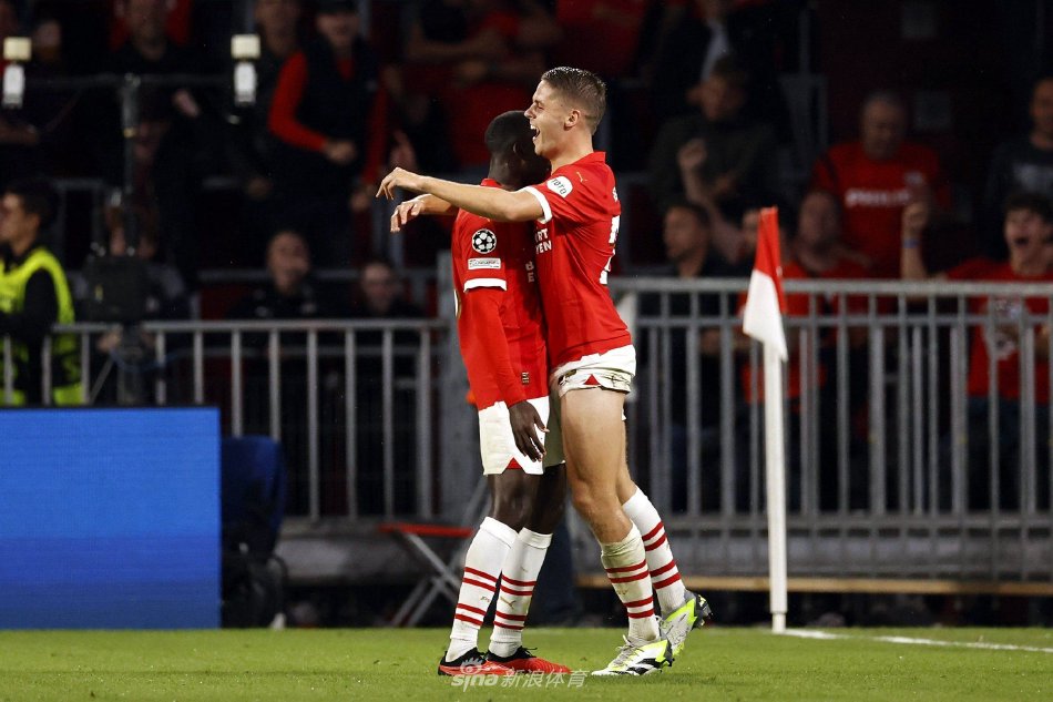 球迷们不免 球迷们不免